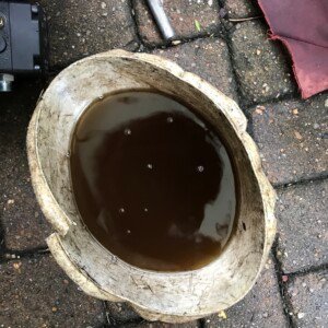 When servicing we always check oil filters. The oil filter was so badly blocked that the oil line was full of sediment. In this case we changed the oil filter and flushed the oil line until the oil was clean and clear.